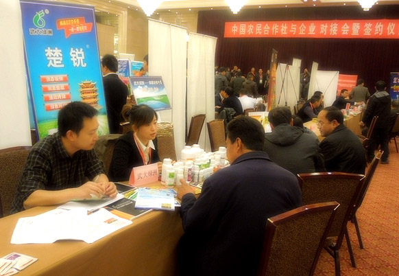 武大綠洲員工為客戶詳細介紹公司產(chǎn)品